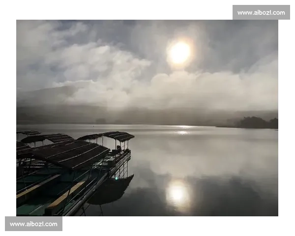 晨雾与羽翅：鸟里的早安启示